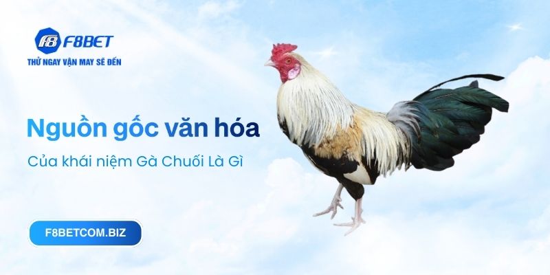 Nguồn gốc văn hóa của khái niệm Gà Chuối Là Gì