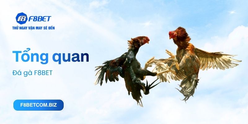 Tổng quan Đá gà F8BET