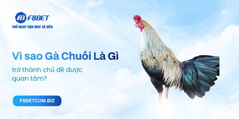 Vì sao Gà Chuối Là Gì trở thành chủ đề được quan tâm?