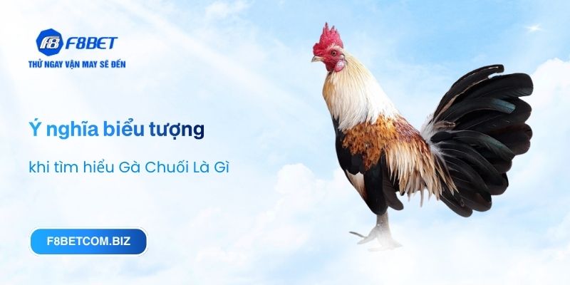 Ý nghĩa biểu tượng khi tìm hiểu Gà Chuối Là Gì